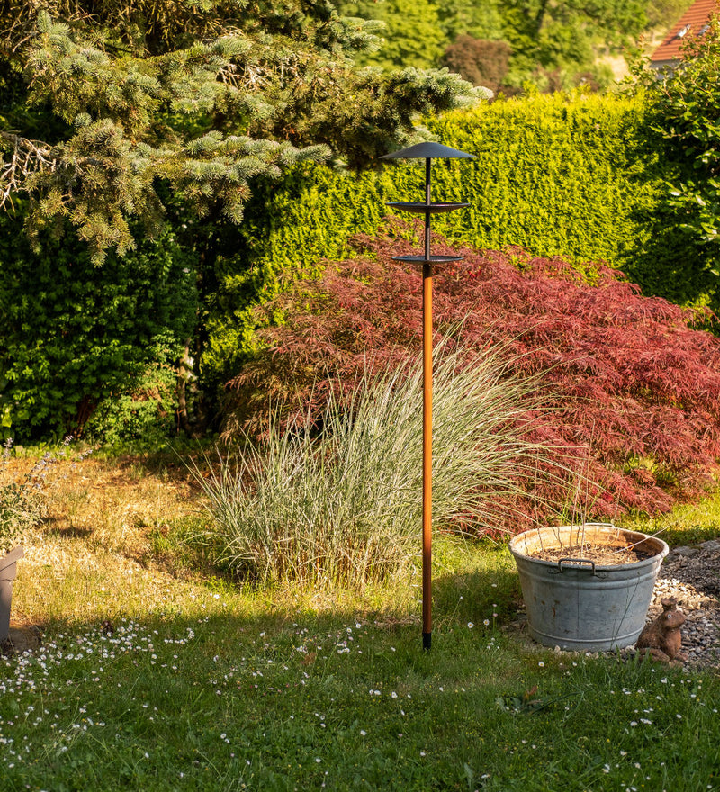 Szene mit GREIF Vogelhaus