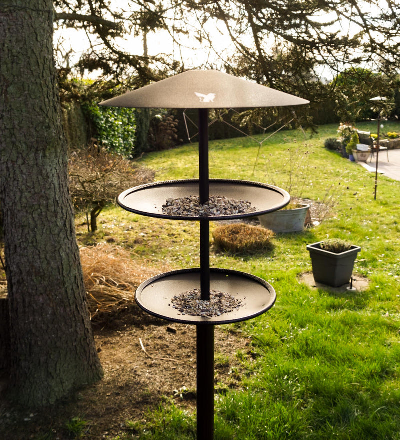 Szene mit GREIF Vogelhaus