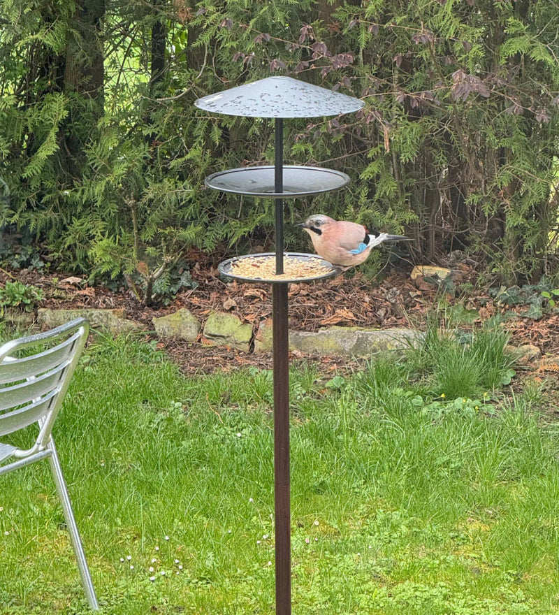 Szene mit GREIF Vogelhaus