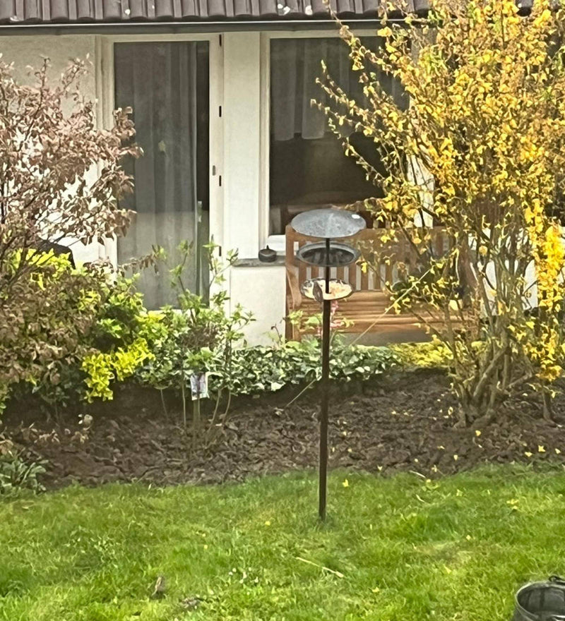 Szene mit GREIF Vogelhaus