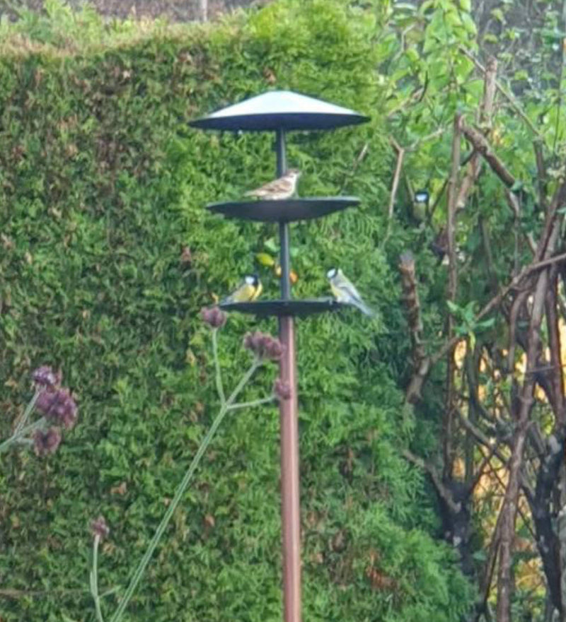 Szene mit GREIF Vogelhaus