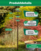 2in1 Vogelhaus und Vogeltränke